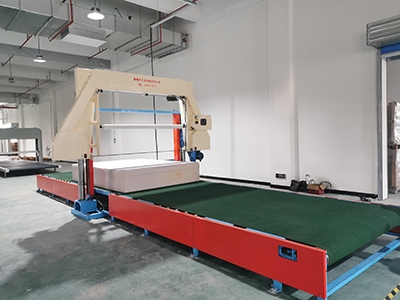 WDXF-1650/2150 海綿網(wǎng)帶吸風(fēng)平切機(jī) WHCPQ